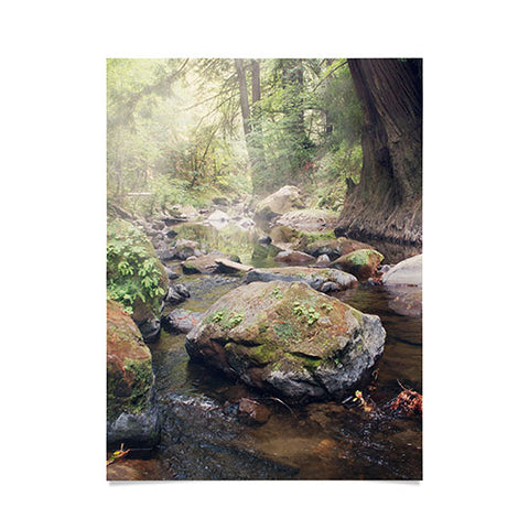 Catherine McDonald Pescadero Creek Poster