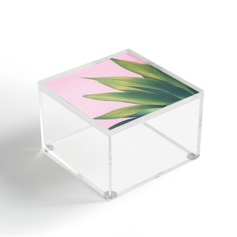 Catherine McDonald Pink Agave Acrylic Box