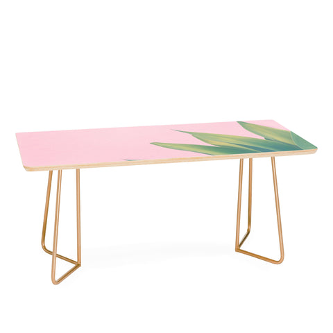 Catherine McDonald Pink Agave Coffee Table