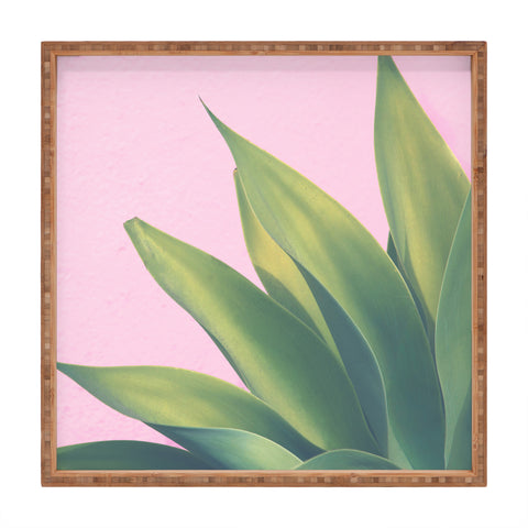 Catherine McDonald Pink Agave Square Tray