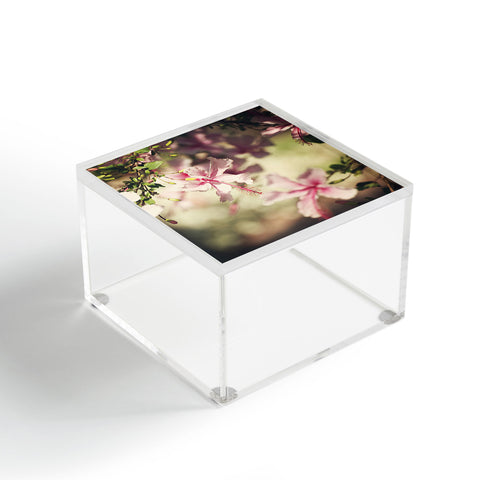 Catherine McDonald Pink Hibiscus Acrylic Box
