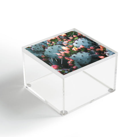 Catherine McDonald Prickly Pear Acrylic Box