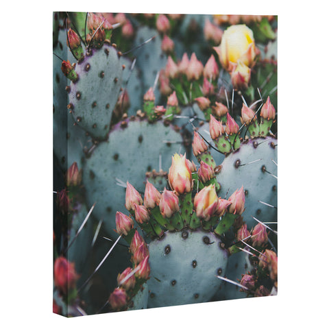 Catherine McDonald Prickly Pear Art Canvas