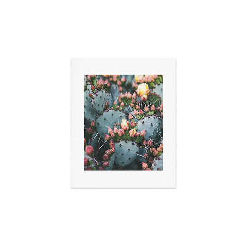 Catherine McDonald Prickly Pear Art Print