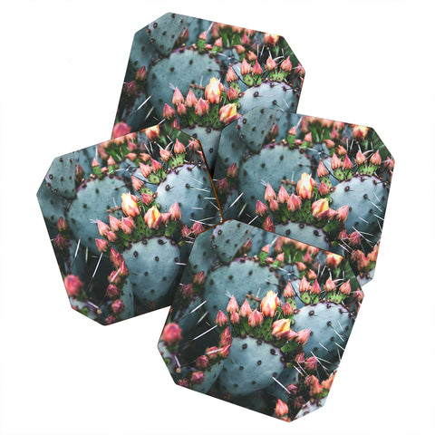 Catherine McDonald Prickly Pear Coaster Set