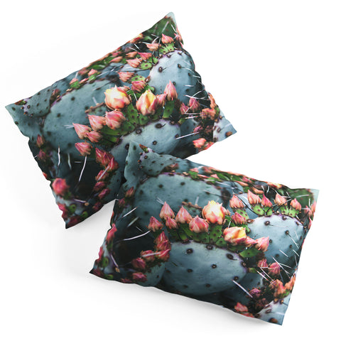 Catherine McDonald Prickly Pear Pillow Shams