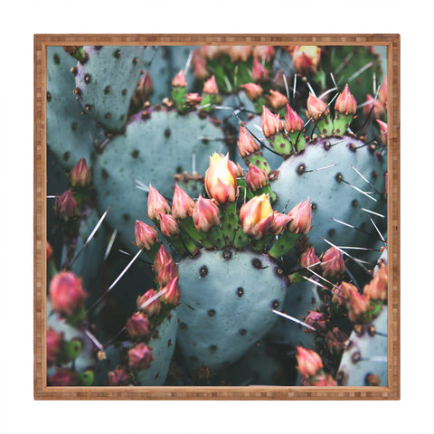 Catherine McDonald Prickly Pear Square Tray