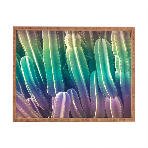 Catherine McDonald Rainbow Cactus Rectangular Tray