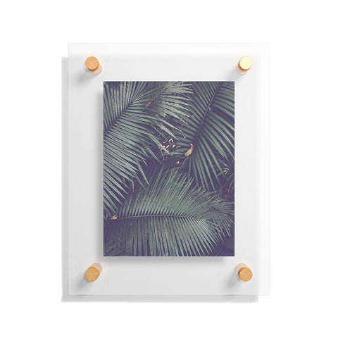 Catherine McDonald Rainforest Floor Floating Acrylic Print