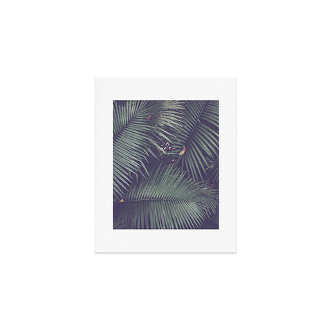 Catherine McDonald Rainforest Floor Art Print