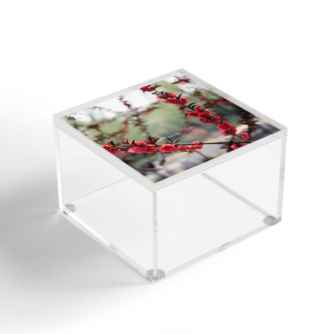 Catherine McDonald Red Peach Blossoms In China Acrylic Box