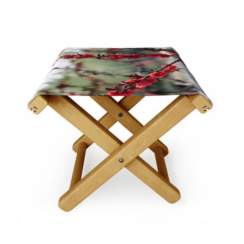Catherine McDonald Red Peach Blossoms In China Folding Stool