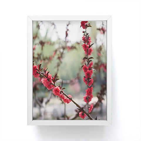 Catherine McDonald Red Peach Blossoms In China Framed Mini Art Print
