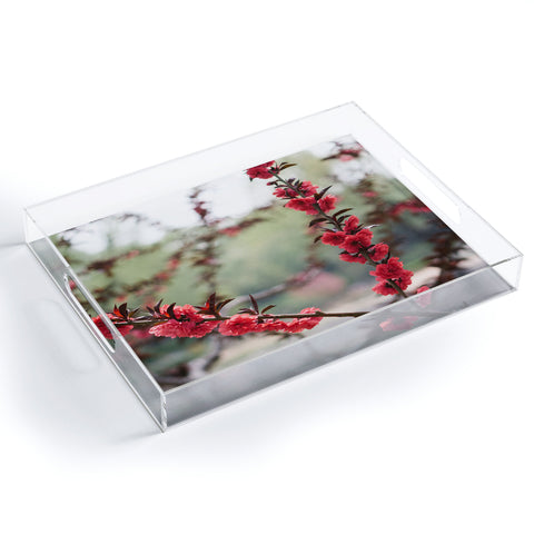 Catherine McDonald Red Peach Blossoms In China Acrylic Tray