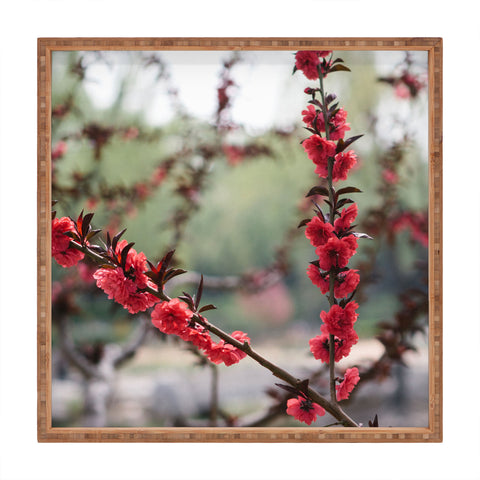Catherine McDonald Red Peach Blossoms In China Square Tray