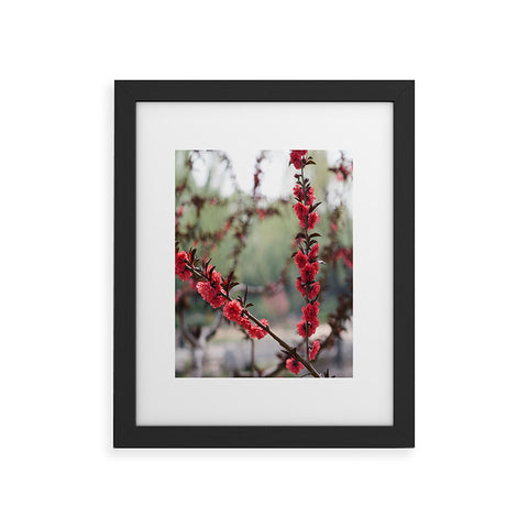 Catherine McDonald Red Peach Blossoms In China Framed Art Print