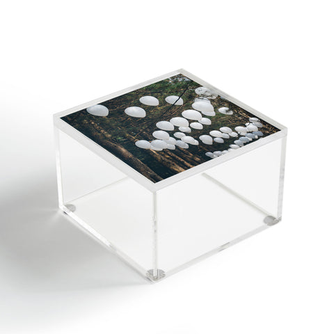 Catherine McDonald Romantic Forest Acrylic Box