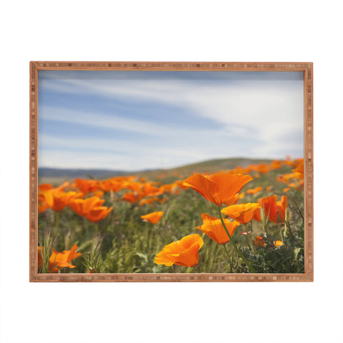 Catherine McDonald Somewhere you feel free Rectangular Tray