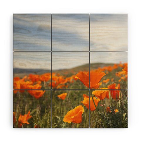 Catherine McDonald Somewhere you feel free Wood Wall Mural