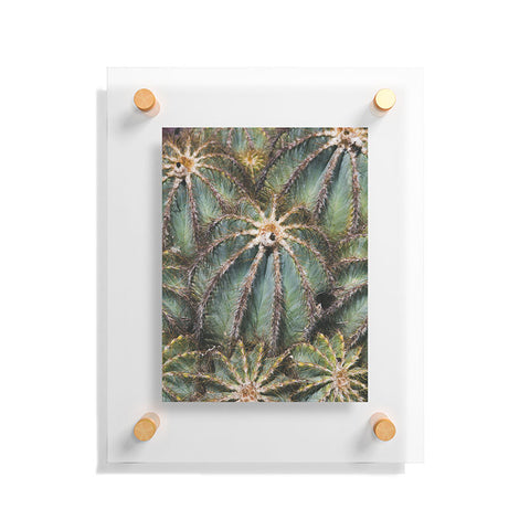 Catherine McDonald Southwest Cactus Floating Acrylic Print