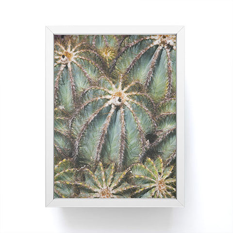 Catherine McDonald Southwest Cactus Framed Mini Art Print