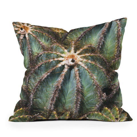 Catherine McDonald Southwest Cactus Throw Pillow