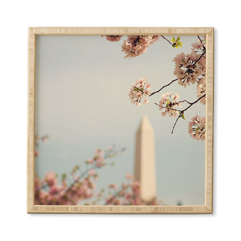 Catherine McDonald Spring In DC 1 Framed Wall Art