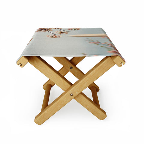Catherine McDonald Spring In DC 1 Folding Stool