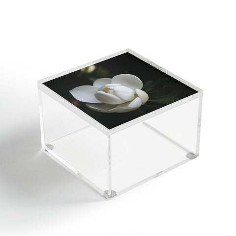 Catherine McDonald Steel Magnolia Acrylic Box