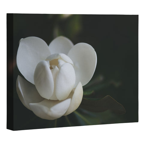 Catherine McDonald Steel Magnolia Art Canvas