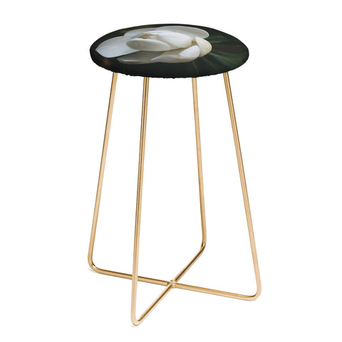 Catherine McDonald Steel Magnolia Counter Stool
