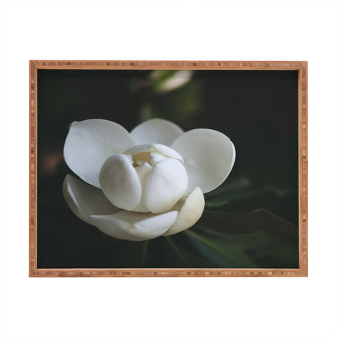 Catherine McDonald Steel Magnolia Rectangular Tray