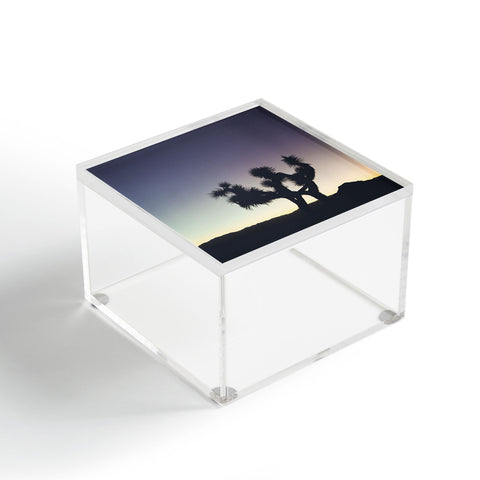 Catherine McDonald Sunset at Joshua Tree Acrylic Box