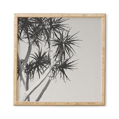 Catherine McDonald Tree Aloe Framed Wall Art