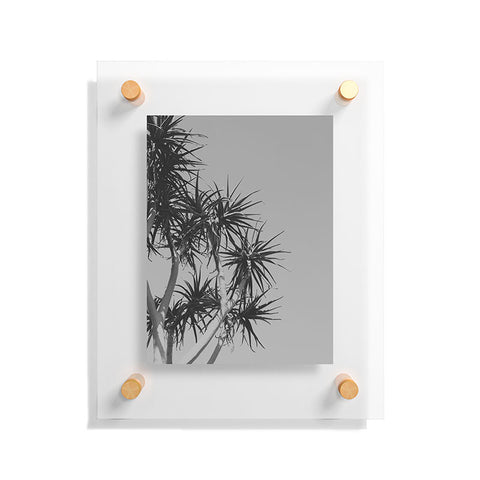Catherine McDonald Tree Aloe Floating Acrylic Print