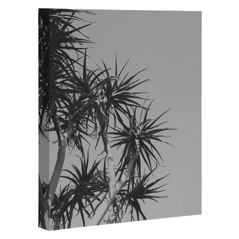 Catherine McDonald Tree Aloe Art Canvas