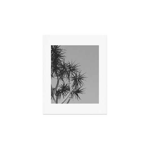 Catherine McDonald Tree Aloe Art Print