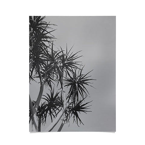 Catherine McDonald Tree Aloe Poster