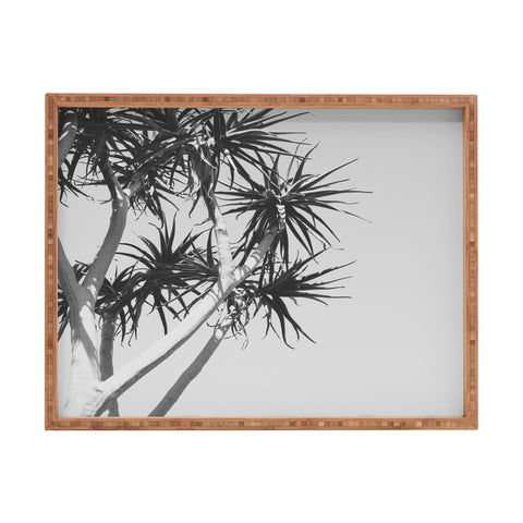 Catherine McDonald Tree Aloe Rectangular Tray