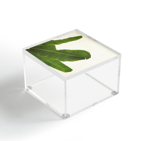 Catherine McDonald Tropical Banana Leaves Acrylic Box