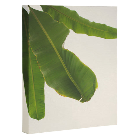 Catherine McDonald Tropical Banana Leaves Art Canvas