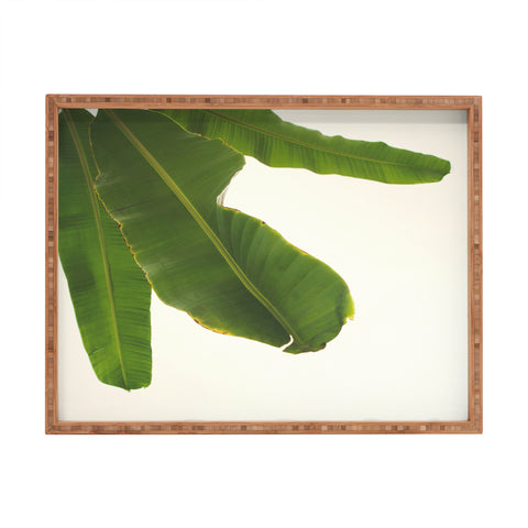 Catherine McDonald Tropical Banana Leaves Rectangular Tray