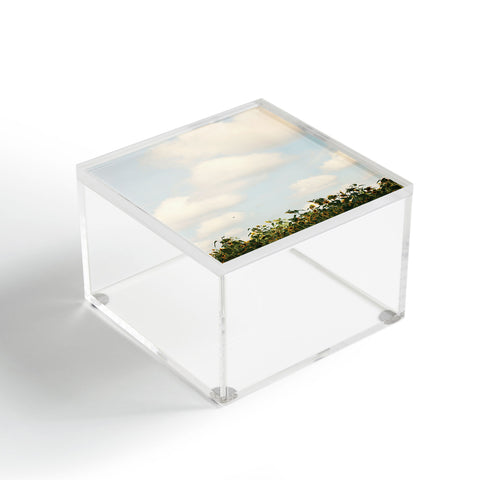Catherine McDonald Underneath Georgia Skies Acrylic Box