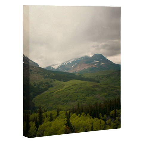 Catherine McDonald Wild Montana Art Canvas