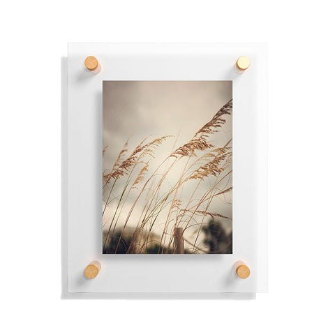 Catherine McDonald Wild Oats To Sow Floating Acrylic Print