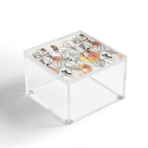 CayenaBlanca Desert Butterfly Acrylic Box