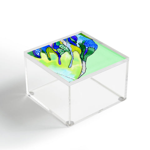 CayenaBlanca Ferns Acrylic Box