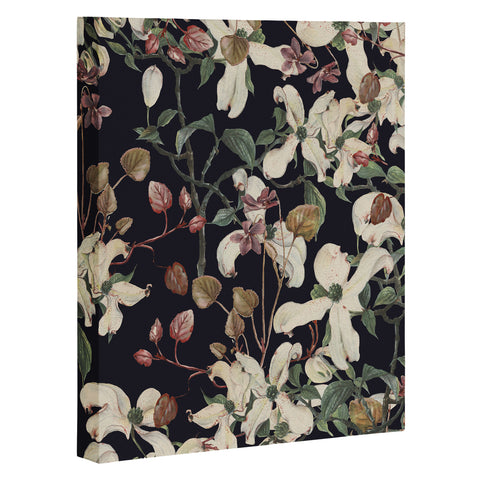 CayenaBlanca Herbolarium Art Canvas