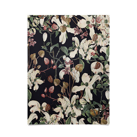 CayenaBlanca Herbolarium Poster