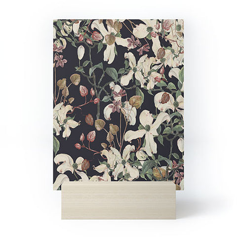 CayenaBlanca Herbolarium Mini Art Print